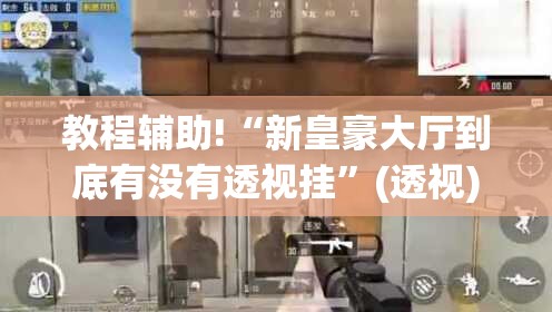 教程辅助!“新皇豪大厅到底有没有透视挂”(透视)其实确实有挂