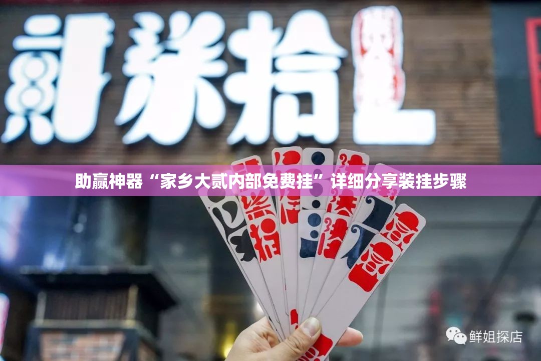 助赢神器“家乡大贰内部免费挂”详细分享装挂步骤