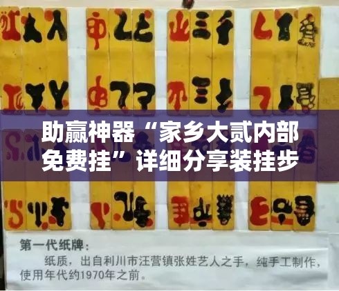 助赢神器“家乡大贰内部免费挂”详细分享装挂步骤