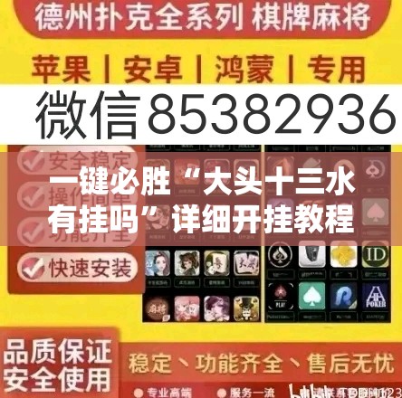 一键必胜“大头十三水有挂吗	”详细开挂教程