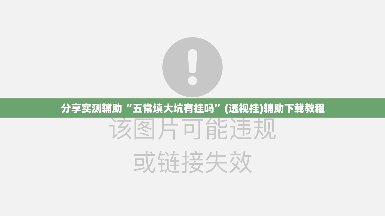 分享实测辅助“五常填大坑有挂吗”(透视挂)辅助下载教程