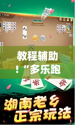 教程辅助!“多乐跑胡子开挂(透视)”开挂辅助脚本+详细开挂安装教程