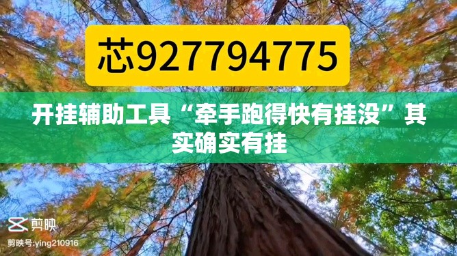 开挂辅助工具“牵手跑得快有挂没”其实确实有挂