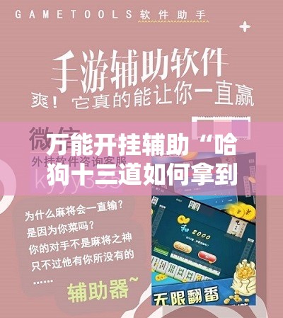 万能开挂辅助“哈狗十三道如何拿到好牌”开挂辅助脚本+详细开挂安装教程