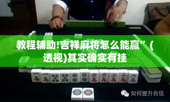 教程辅助!吉祥麻将怎么能赢”(透视)其实确实有挂