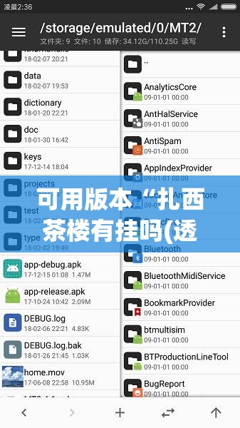 可用版本“扎西茶楼有挂吗(透视)”开挂辅助脚本+详细开挂安装教程