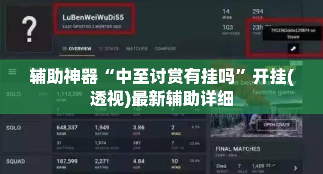 辅助神器“中至讨赏有挂吗”开挂(透视)最新辅助详细