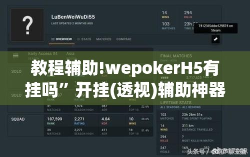 教程辅助!wepokerH5有挂吗”开挂(透视)辅助神器