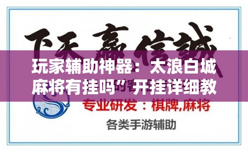 玩家辅助神器：太浪白城麻将有挂吗”开挂详细教程