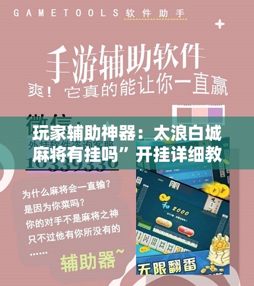 玩家辅助神器：太浪白城麻将有挂吗”开挂详细教程