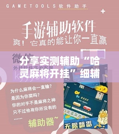 分享实测辅助“哈灵麻将开挂”细辅助教程分享