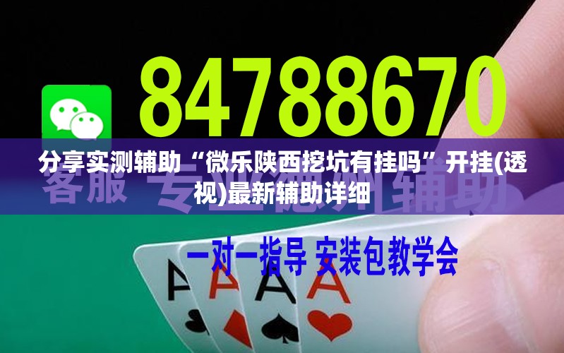 分享实测辅助“微乐陕西挖坑有挂吗”开挂(透视)最新辅助详细