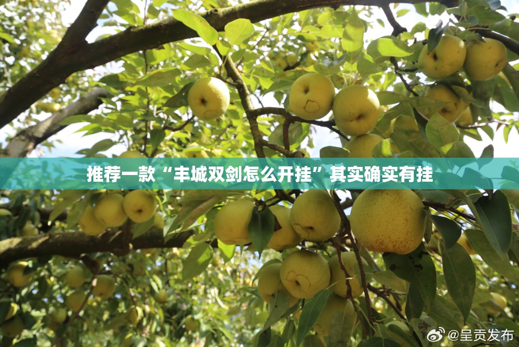 推荐一款“丰城双剑怎么开挂	”其实确实有挂