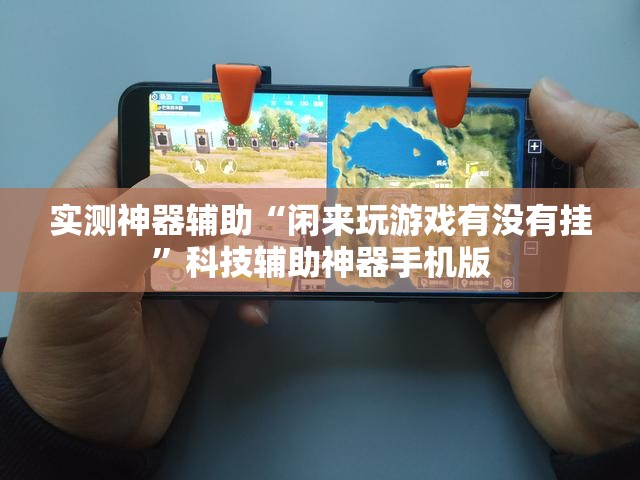 实测神器辅助“闲来玩游戏有没有挂	”科技辅助神器手机版