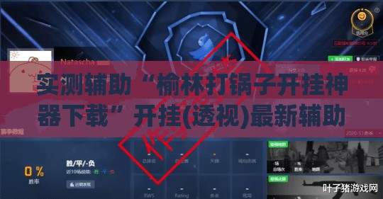 实测辅助“榆林打锅子开挂神器下载”开挂(透视)最新辅助详细