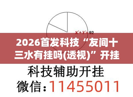 2026首发科技“友间十三水有挂吗(透视)”开挂辅助脚本+详细开挂安装教程