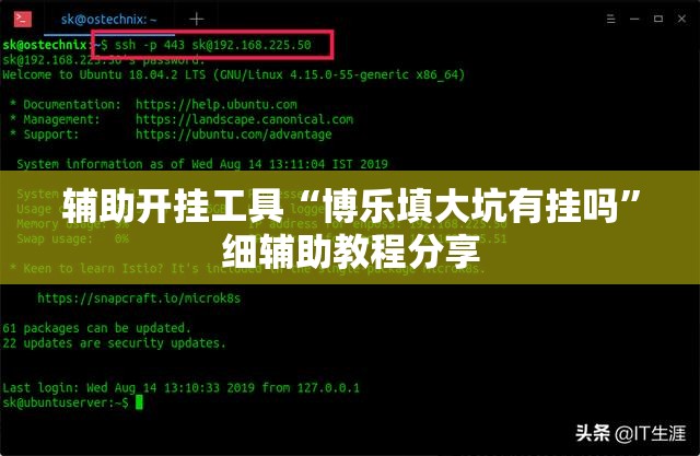 辅助开挂工具“博乐填大坑有挂吗”细辅助教程分享