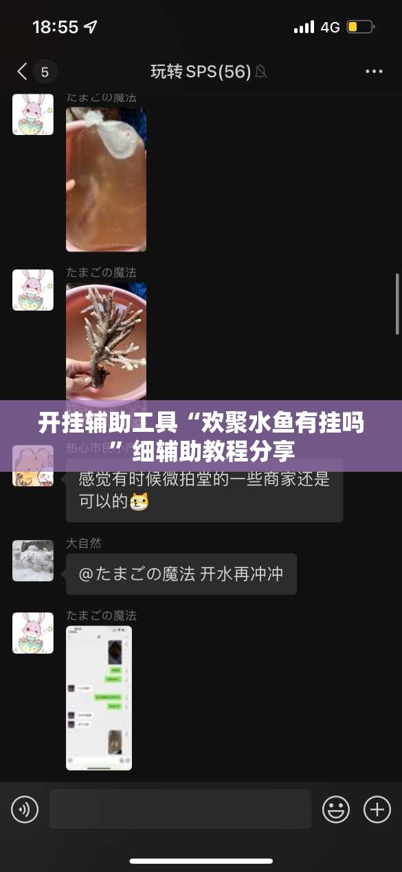 开挂辅助工具“欢聚水鱼有挂吗”细辅助教程分享