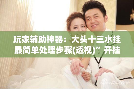 玩家辅助神器：大头十三水挂最简单处理步骤(透视)”开挂辅助脚本+详细开挂安装教程
