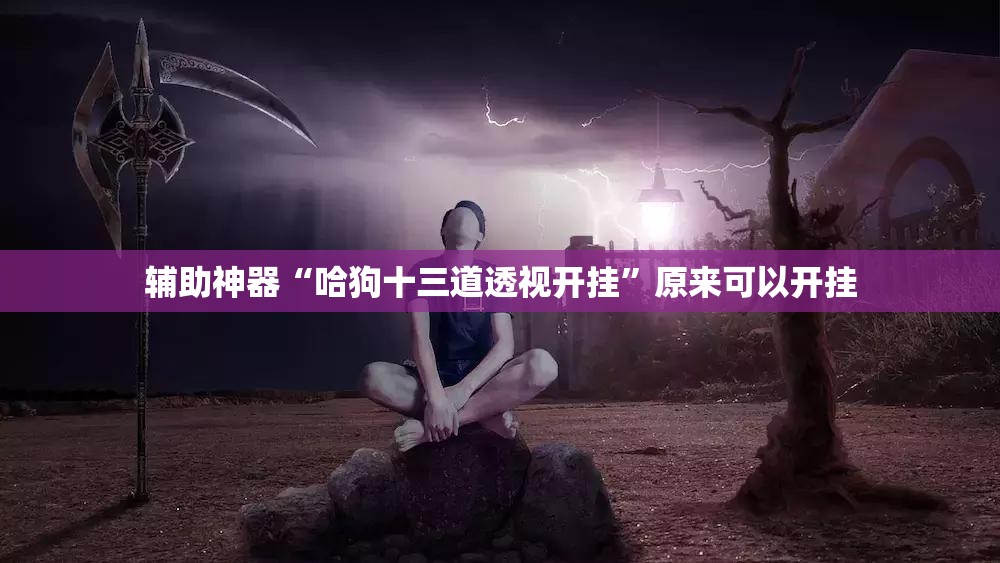 辅助神器“哈狗十三道透视开挂”原来可以开挂
