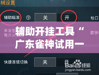 辅助开挂工具“广东雀神试用一天”开挂(透视)辅助教程