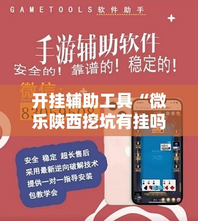 开挂辅助工具“微乐陕西挖坑有挂吗”细辅助教程分享