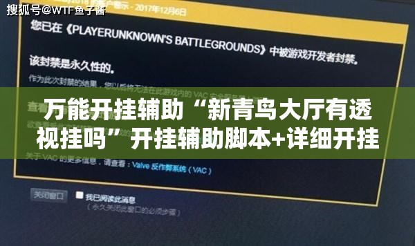 万能开挂辅助“新青鸟大厅有透视挂吗”开挂辅助脚本+详细开挂安装教程