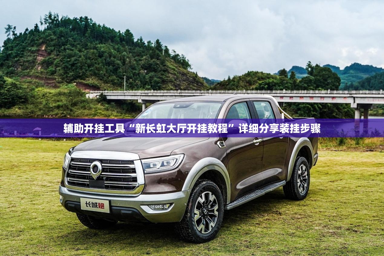 辅助开挂工具“新长虹大厅开挂教程”详细分享装挂步骤
