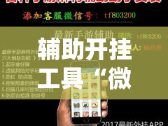 辅助开挂工具“微友麻将到底有没有挂”其实确实有挂