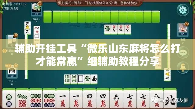 辅助开挂工具“微乐山东麻将怎么打才能常赢”细辅助教程分享