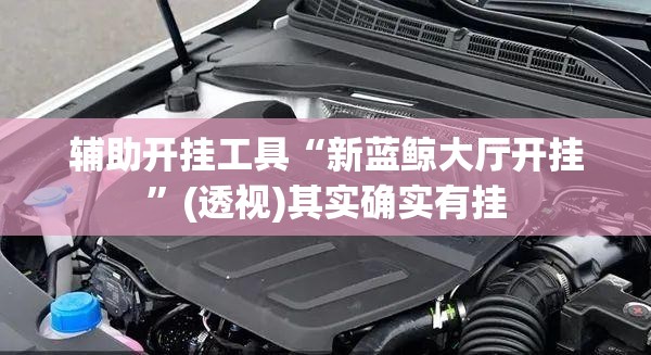 辅助开挂工具“新蓝鲸大厅开挂”(透视)其实确实有挂
