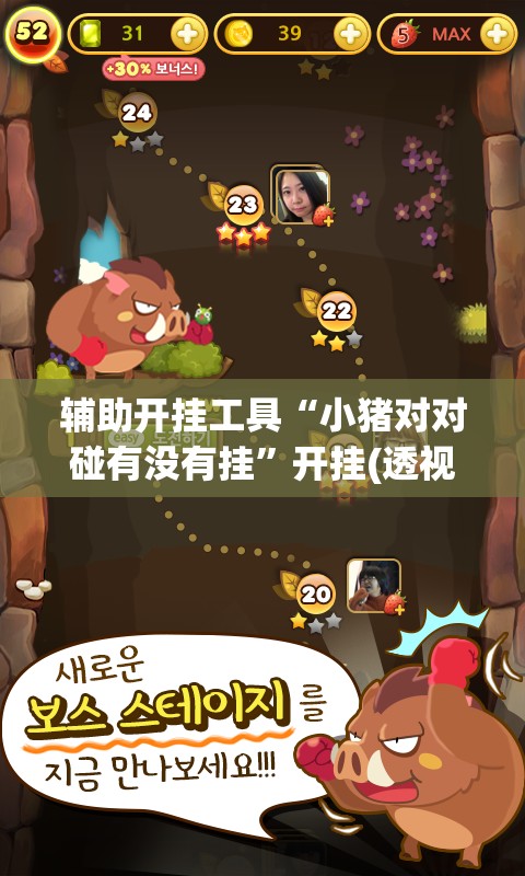 辅助开挂工具“小猪对对碰有没有挂”开挂(透视)辅助神器