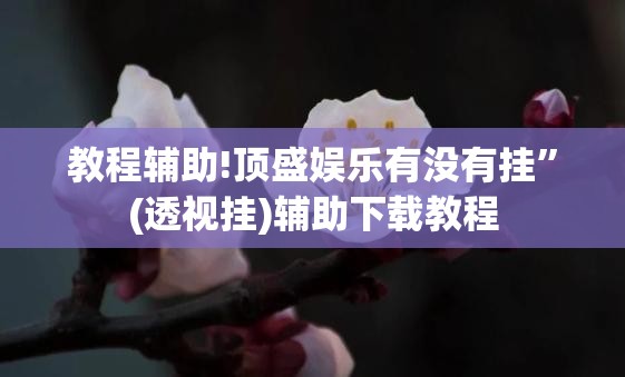 教程辅助!顶盛娱乐有没有挂”(透视挂)辅助下载教程