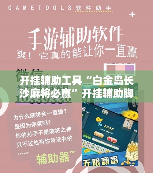 开挂辅助工具“白金岛长沙麻将必赢”开挂辅助脚本+详细开挂安装教程