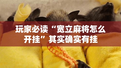 玩家必读“宽立麻将怎么开挂”其实确实有挂