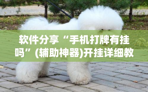 软件分享“手机打牌有挂吗	”(辅助神器)开挂详细教程