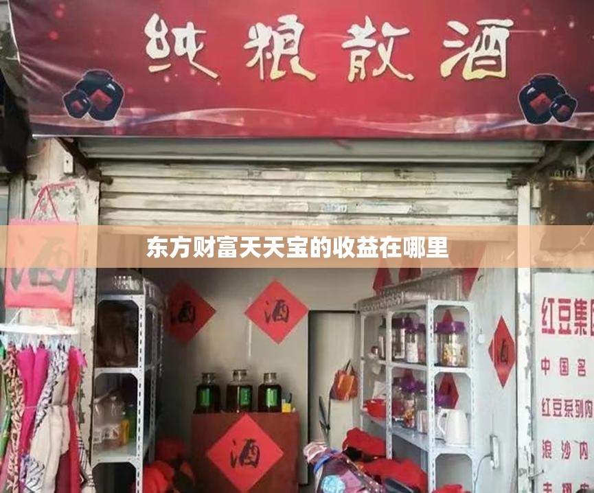 东方财富天天宝的收益在哪里
