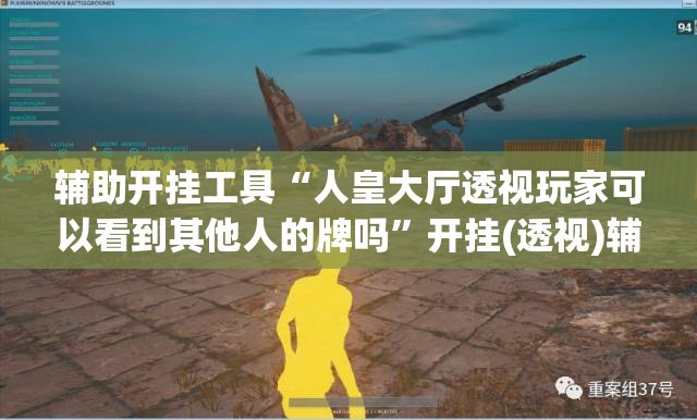辅助开挂工具“人皇大厅透视玩家可以看到其他人的牌吗	”开挂(透视)辅助教程
