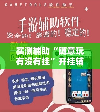 实测辅助“随意玩有没有挂”开挂辅助脚本+详细开挂安装教程