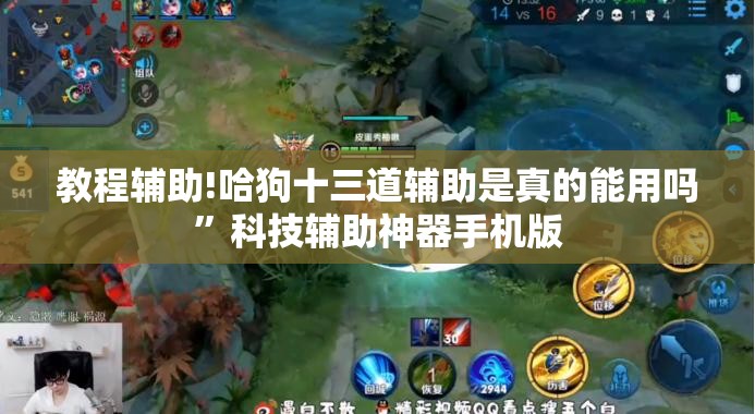 教程辅助!哈狗十三道辅助是真的能用吗”科技辅助神器手机版