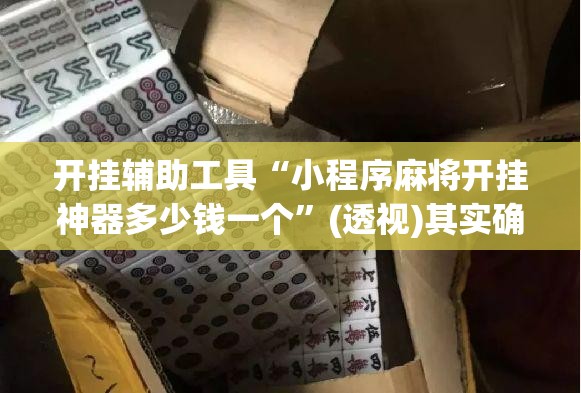 开挂辅助工具“小程序麻将开挂神器多少钱一个”(透视)其实确实有挂