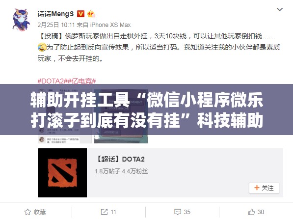 辅助开挂工具“微信小程序微乐打滚子到底有没有挂”科技辅助神器手机版