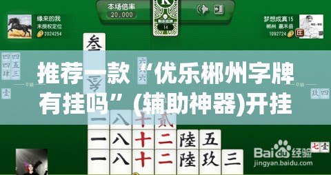 推荐一款“优乐郴州字牌有挂吗”(辅助神器)开挂详细教程