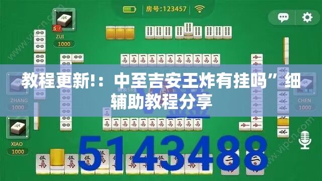 教程更新!：中至吉安王炸有挂吗”细辅助教程分享