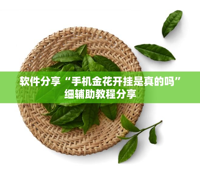 软件分享“手机金花开挂是真的吗”细辅助教程分享