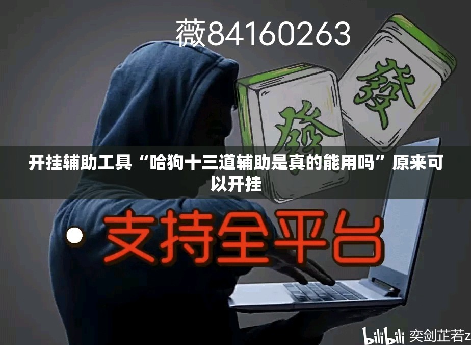 开挂辅助工具“哈狗十三道辅助是真的能用吗”原来可以开挂