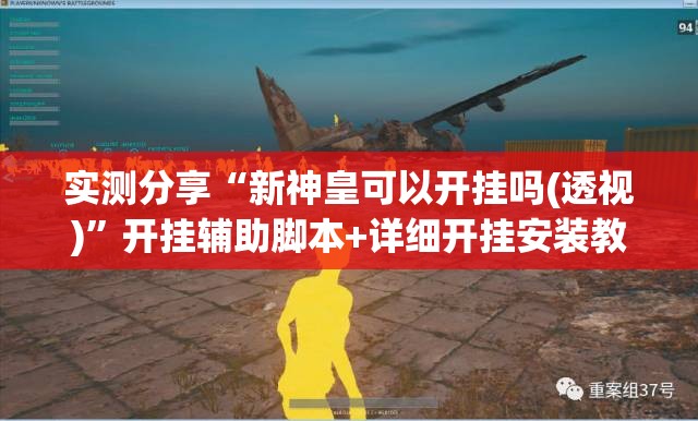 实测分享“新神皇可以开挂吗(透视)”开挂辅助脚本+详细开挂安装教程