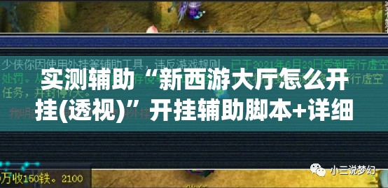 实测辅助“新西游大厅怎么开挂(透视)”开挂辅助脚本+详细开挂安装教程