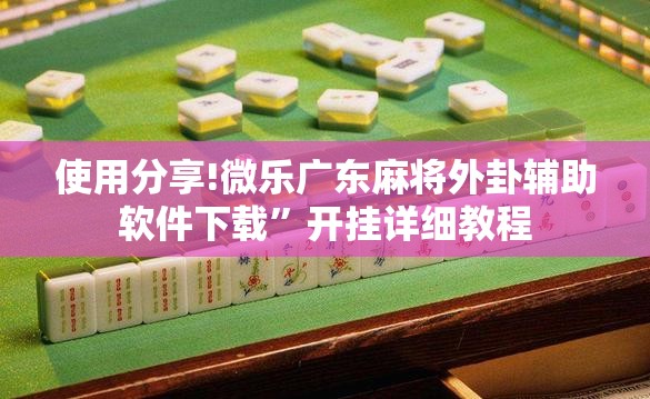 使用分享!微乐广东麻将外卦辅助软件下载”开挂详细教程