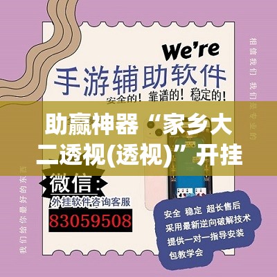 助赢神器“家乡大二透视(透视)”开挂辅助脚本+详细开挂安装教程